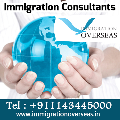 Immigration-Consultants-